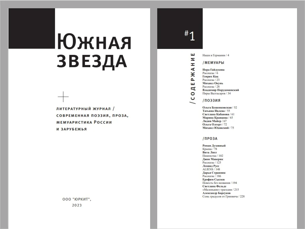 Ставропольский журнал «Южная звезда. Новый формат»